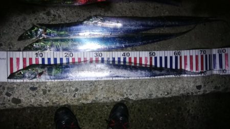 スローなテンヤ釣り